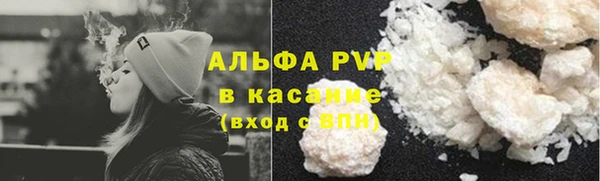 сатива Белокуриха