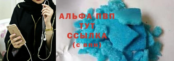 сатива Белокуриха