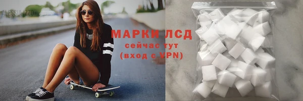 сатива Белокуриха