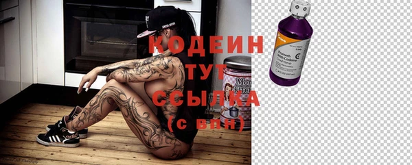 сатива Белокуриха