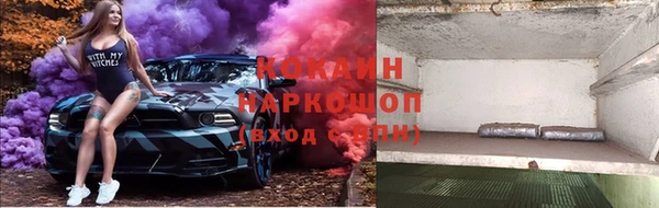 сатива Белокуриха
