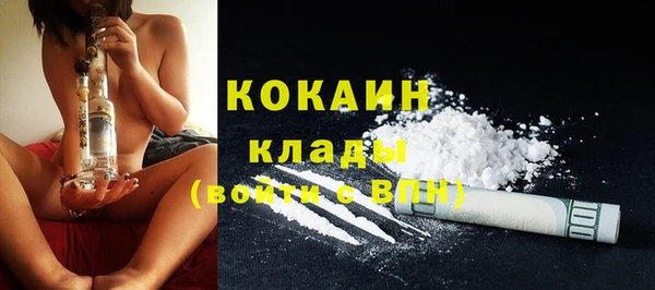 сатива Белокуриха