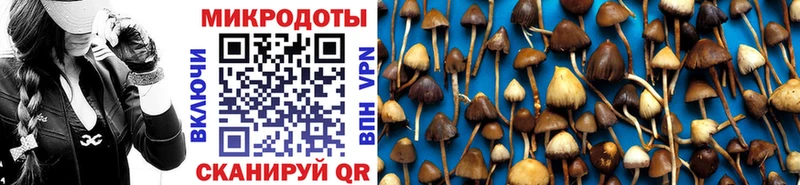Галлюциногенные грибы мухоморы  blacksprut маркетплейс  Бузулук  что такое наркотик 